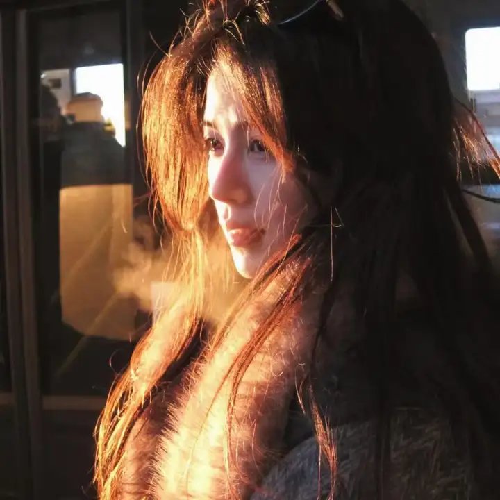 恐龙岛